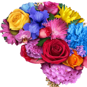 Komerciniu patalpu kvapu gidas