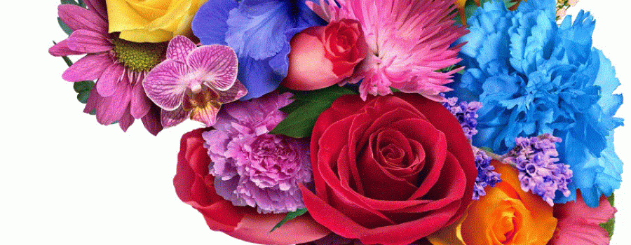 Komerciniu patalpu kvapu gidas